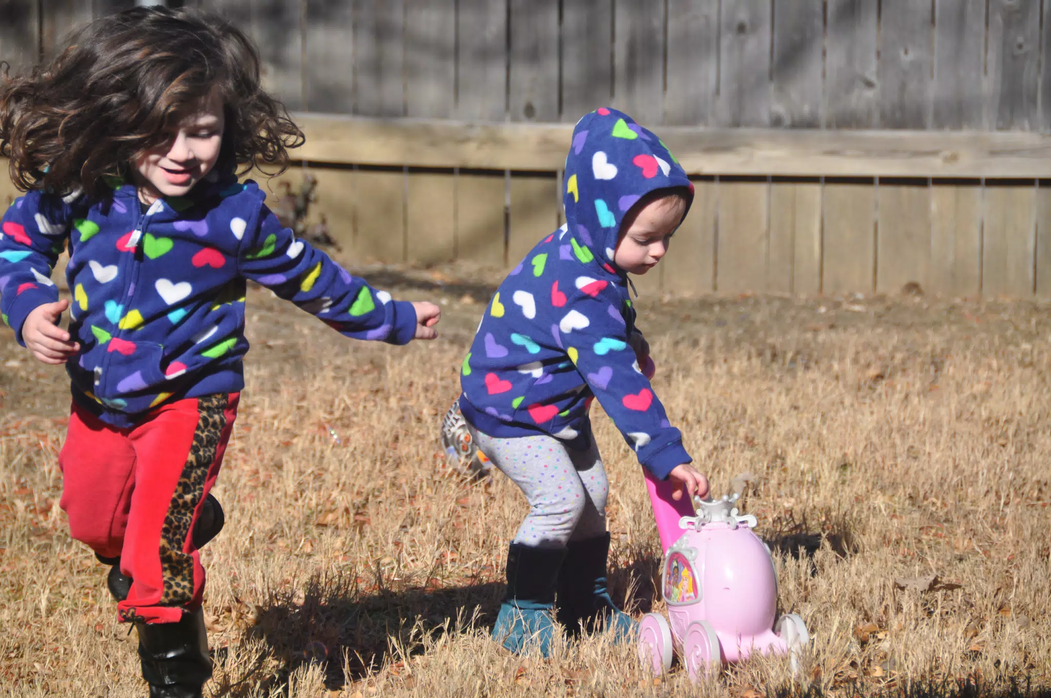 The Girls in the Yard