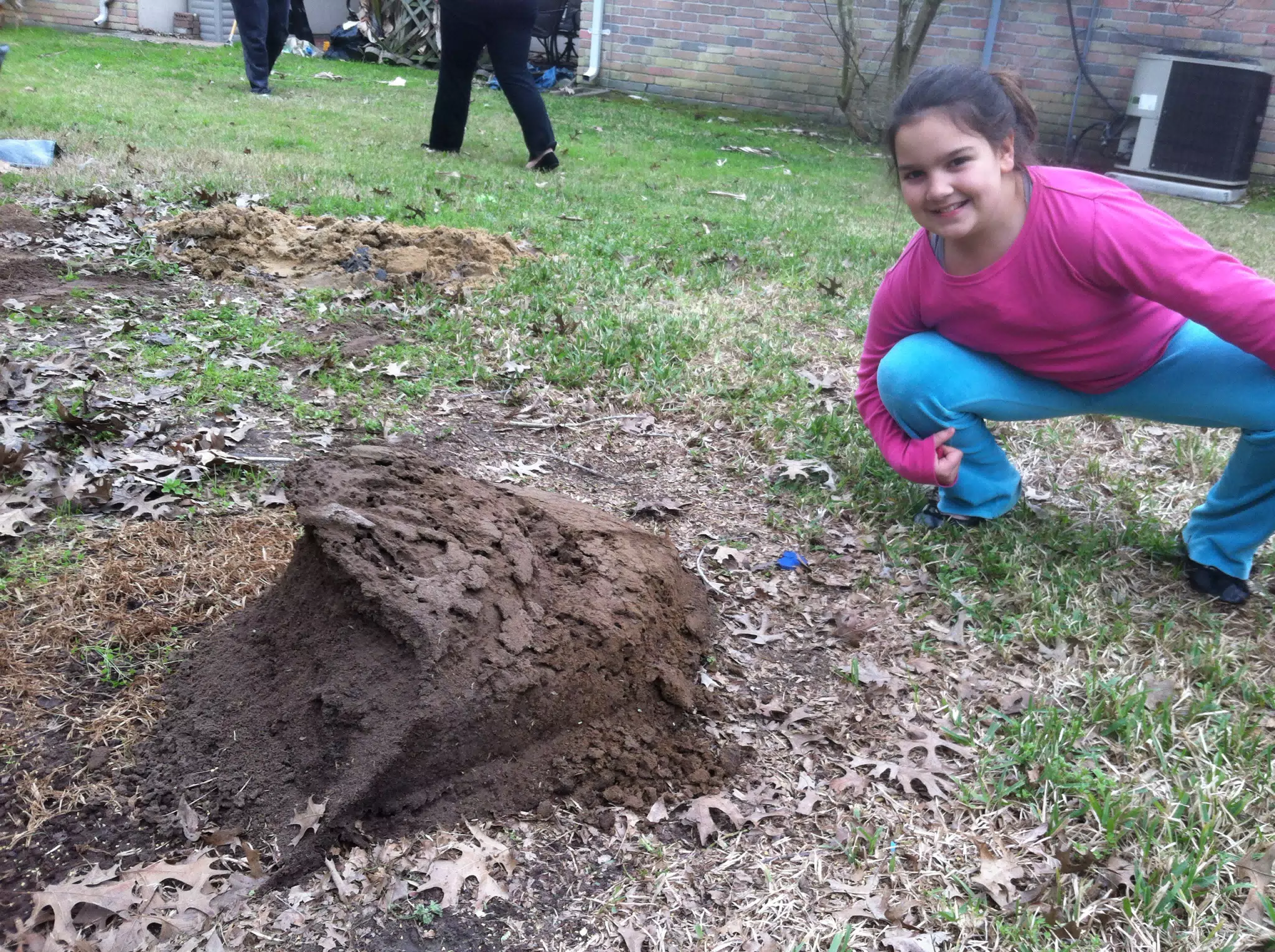 Emily Finds Fire Ants