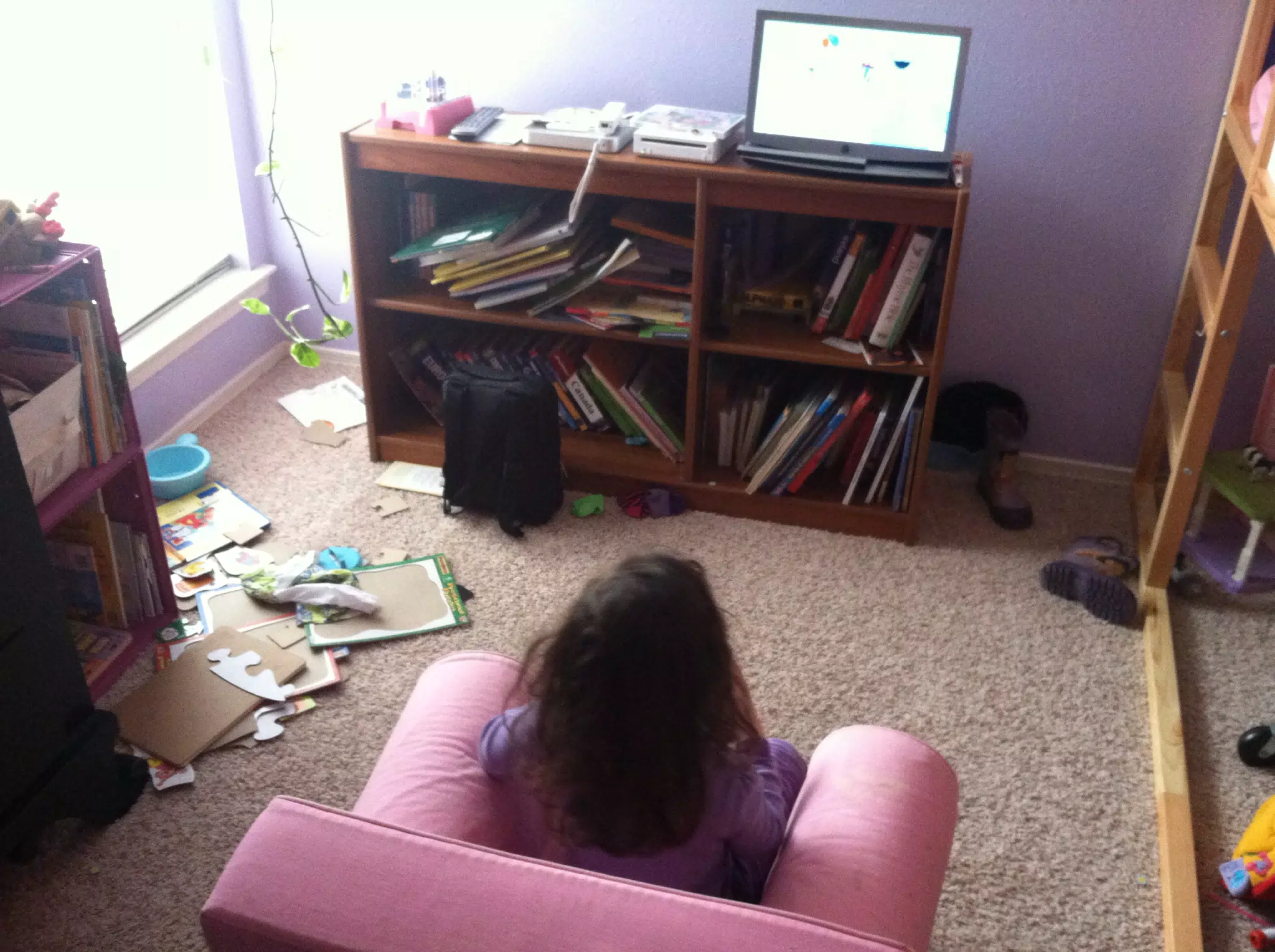 Liesl's New Wii Setup