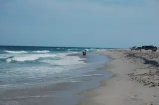 Beach at Island Beach State Park
