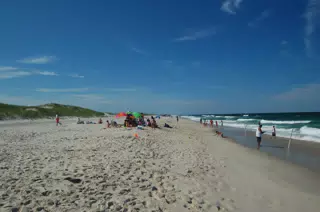 Beach at Island Beach State Park