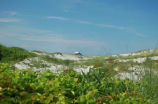 Island Beach State Park (Trail A13)
