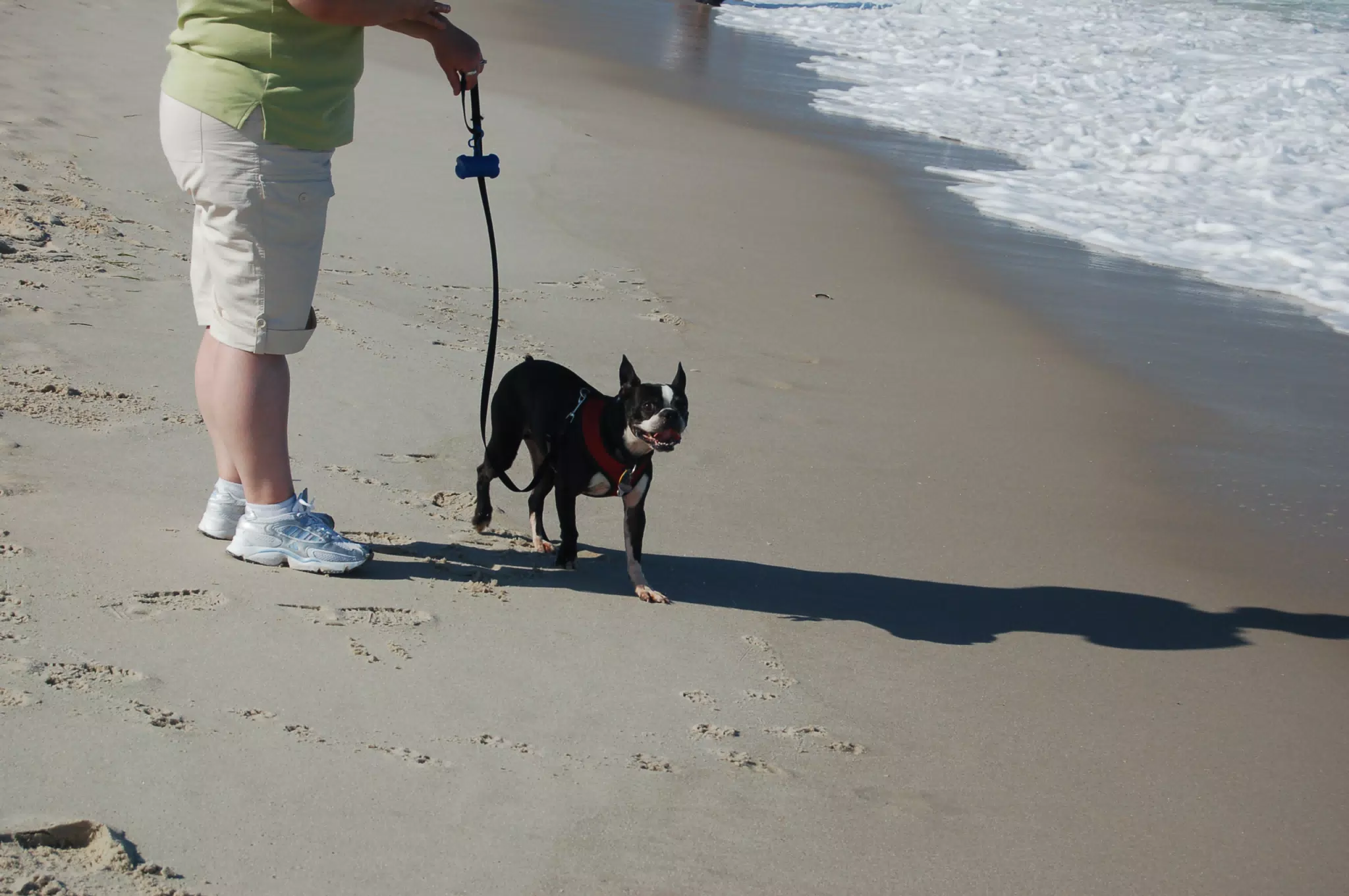 Oreo and Dominica on the Jersey Shore