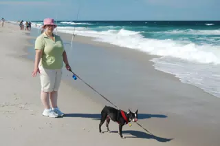 Oreo and Dominica on the Jersey Shore