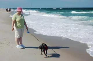 Oreo and Dominica on the Jersey Shore