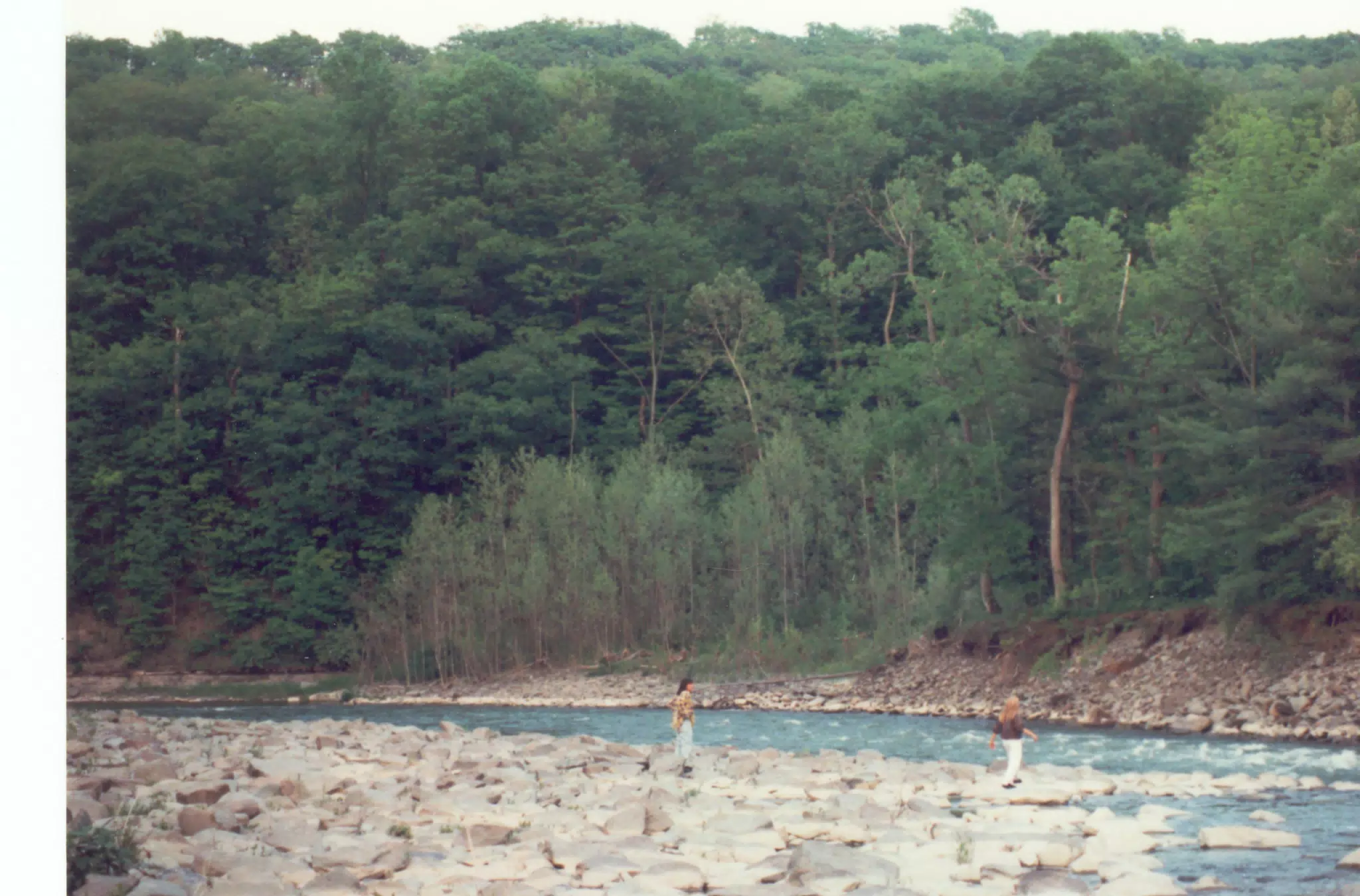 Genesee River in Letchworth State Park