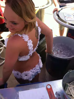 Allie at Redneck Heaven's ABC Party