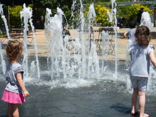 DSCN2639
