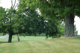 Front Yard by Peoria Road