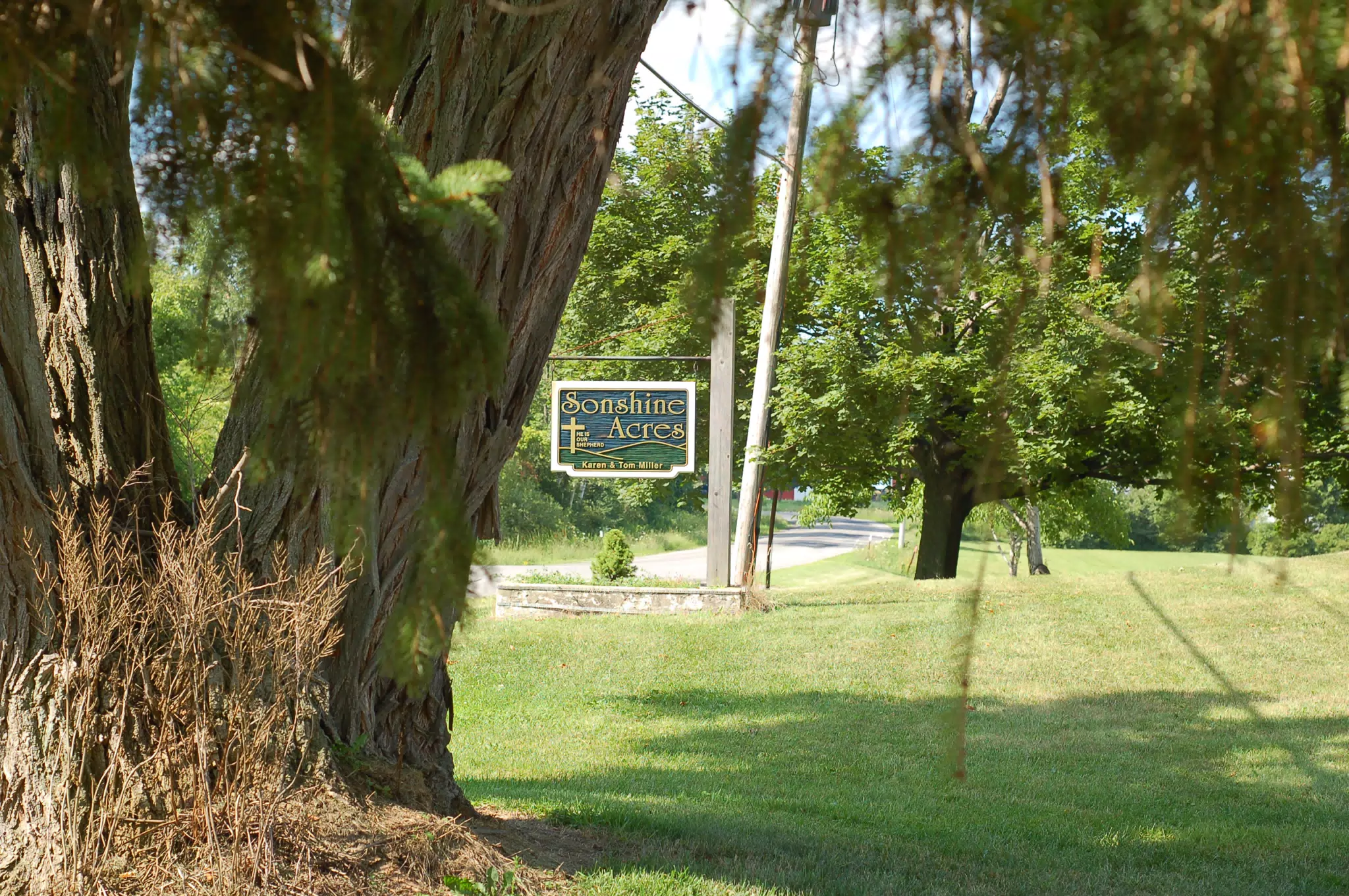 Sonshine Acres and Black Locust
