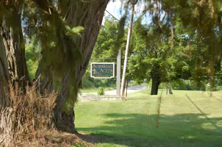 Sonshine Acres and Black Locust