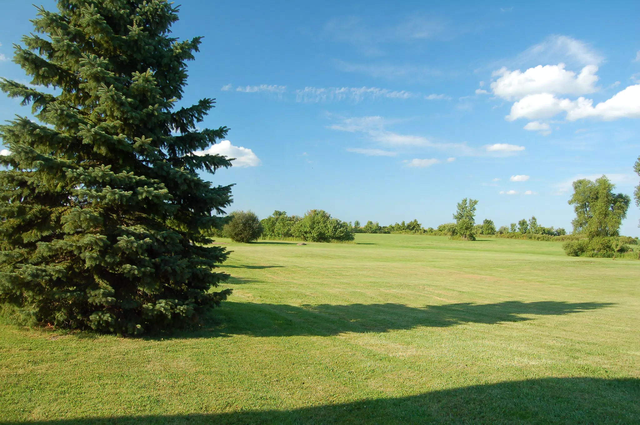 Northest View of Back Yard