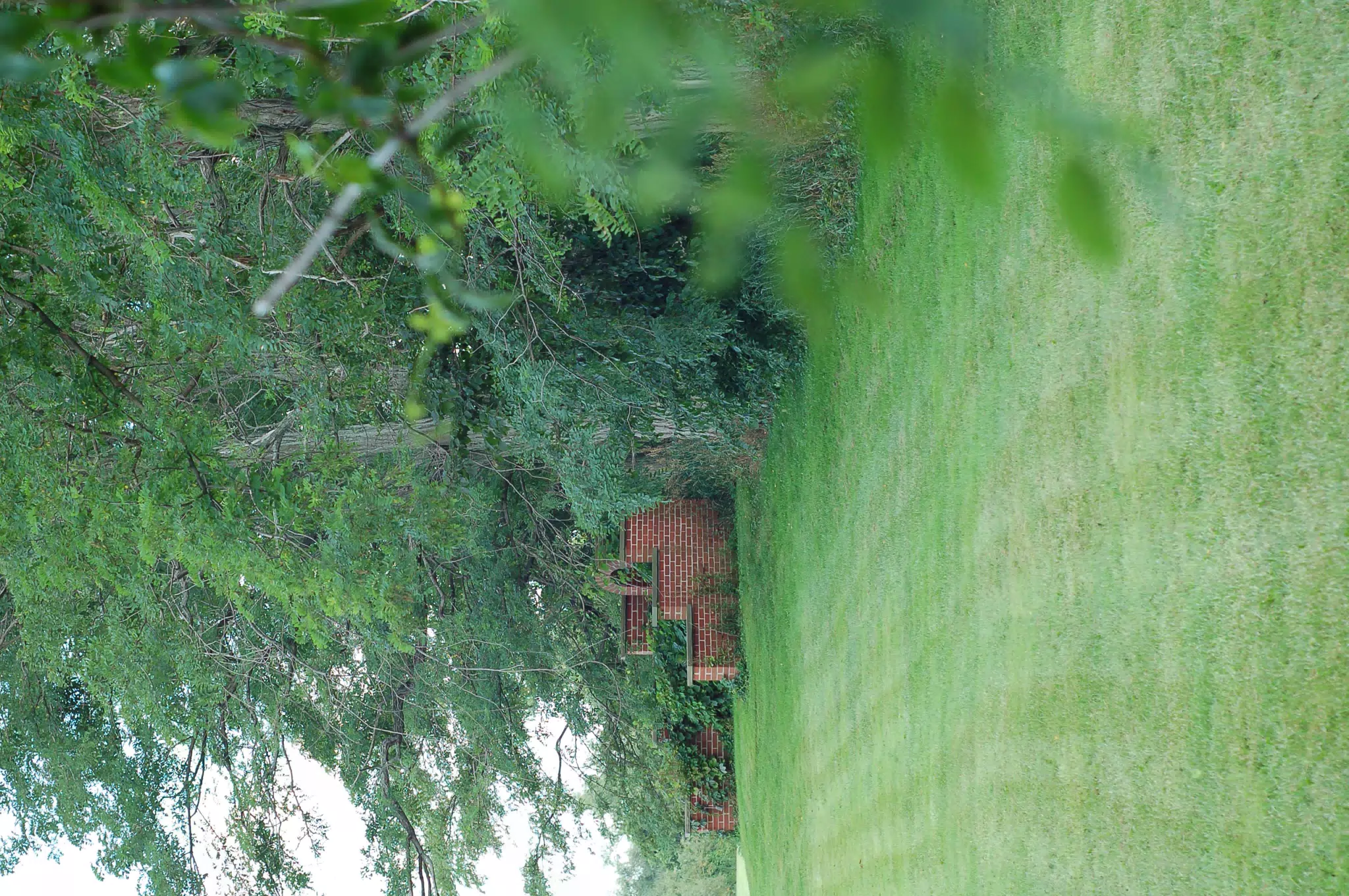 Facing East Along Southern Hedge