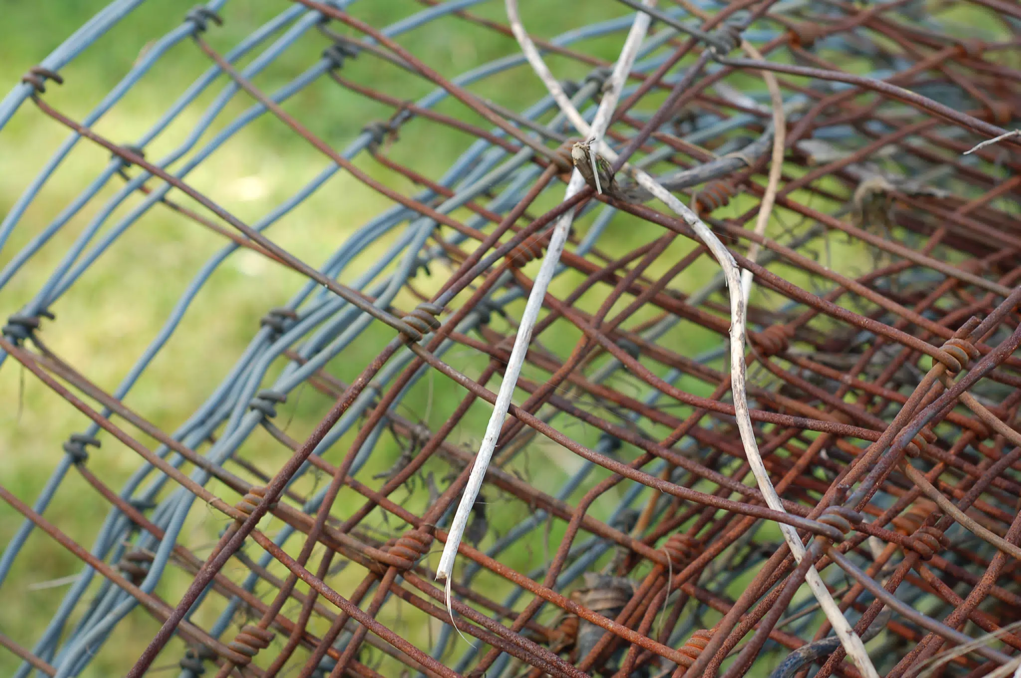 Bail of Fencing