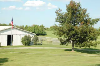 Front Yard and Barn