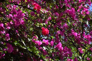 Untitled photo
