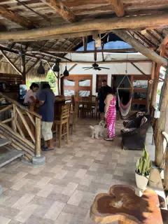 Untitled photo