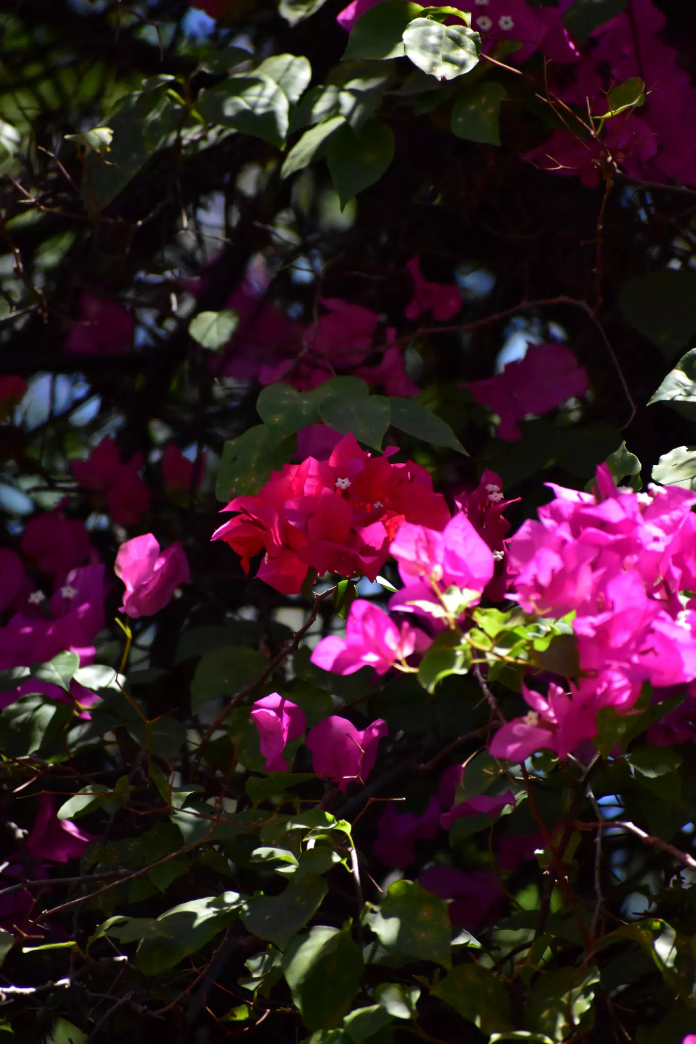 Untitled photo